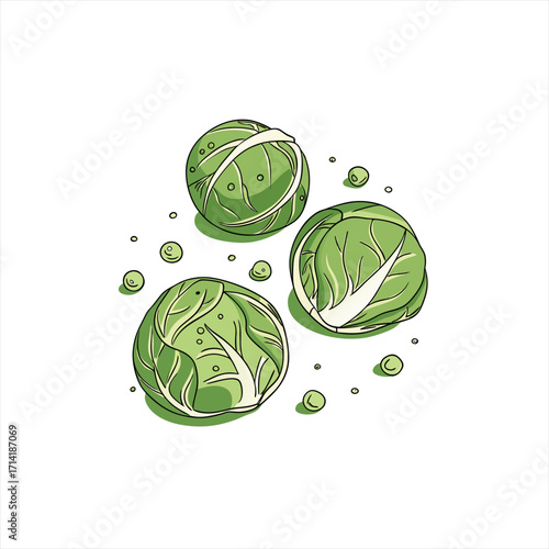 Three fresh brussels sprouts with small buds on white background