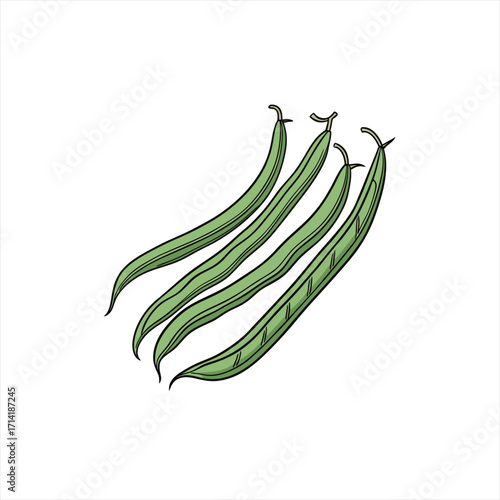 Illustration of four fresh green beans on a white background