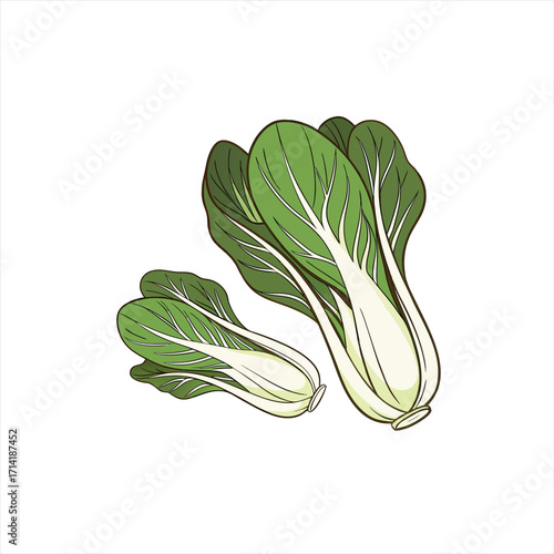 Two fresh bok choy vegetables on a white background