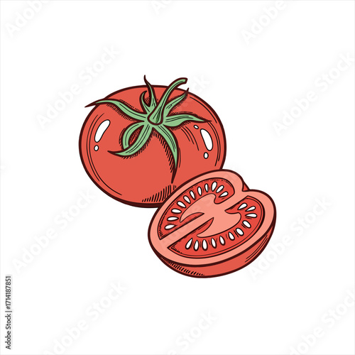 Hand drawn illustration of a whole tomato and a sliced tomato