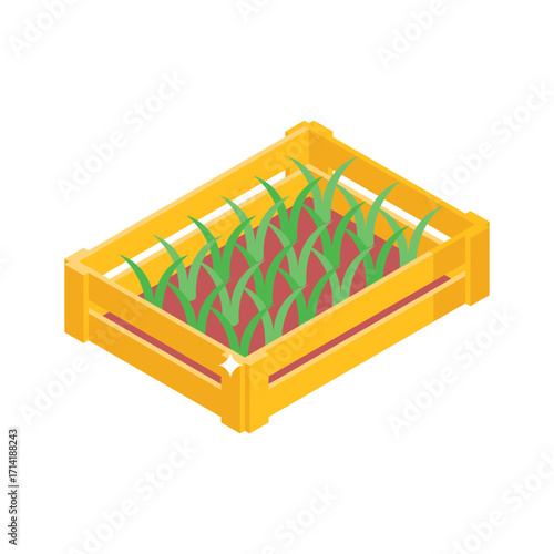 Modern isometric style icon of flat seedling bed