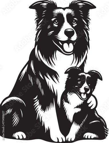 Border Collie Dog Vector Illustration, Black and White Silhouette, Pet Animal Design