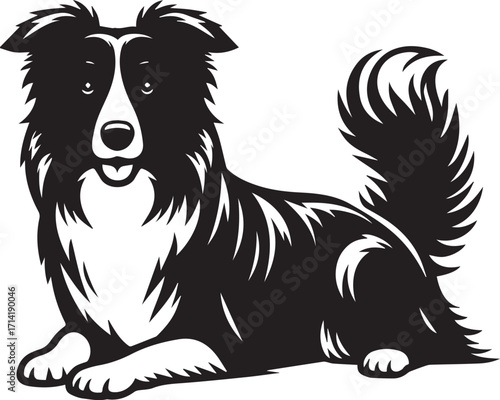Border Collie Dog Vector Illustration, Black and White Silhouette, Pet Animal Design