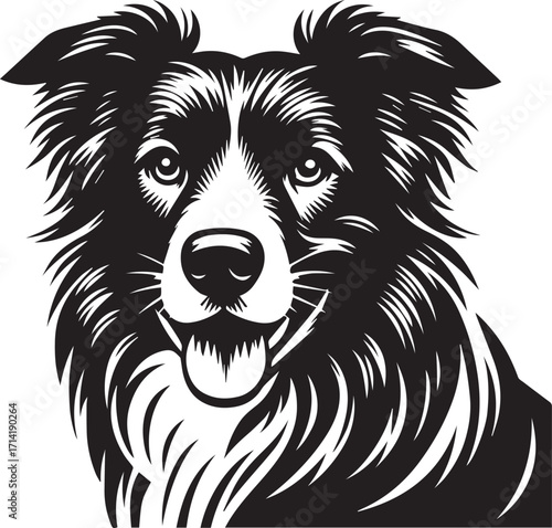 Border Collie Dog Vector Illustration, Black and White Silhouette, Pet Animal Design