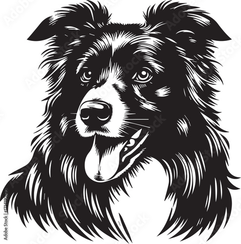 Border Collie Dog Vector Illustration, Black and White Silhouette, Pet Animal Design