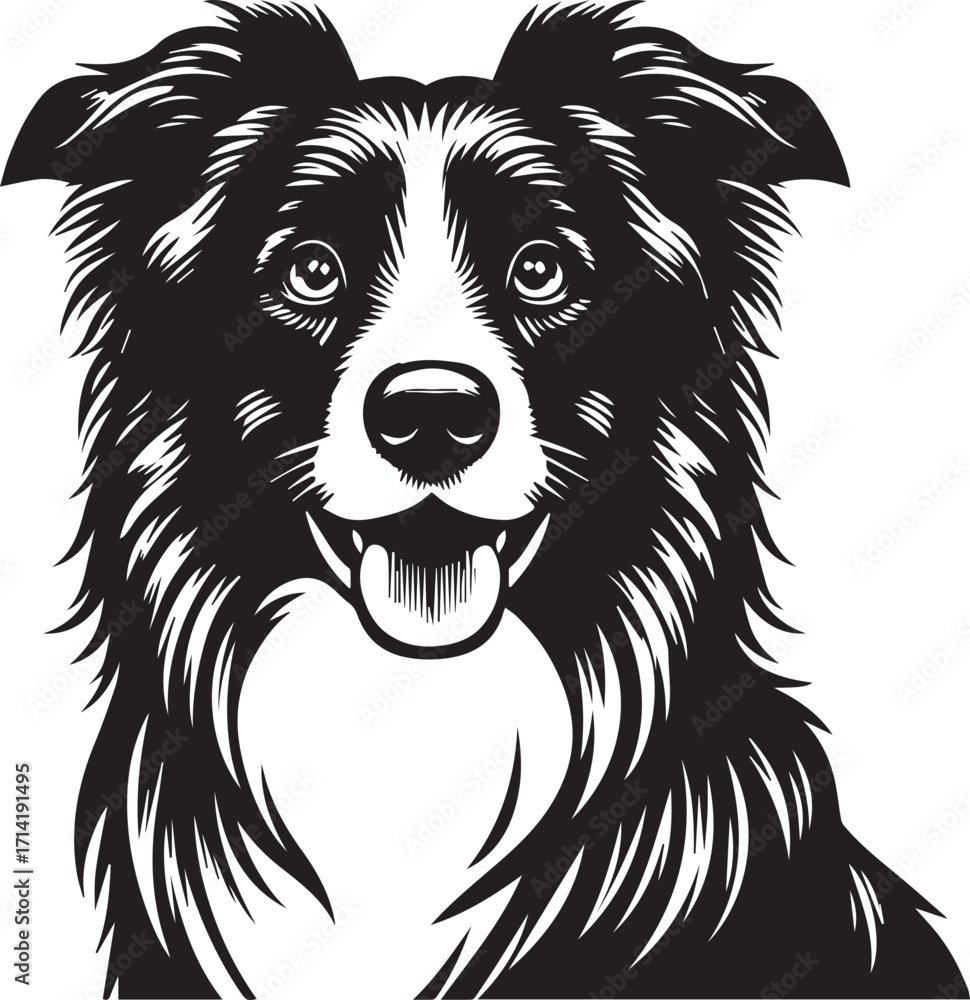 Fototapeta premium Border Collie Dog Vector Illustration, Black and White Silhouette, Pet Animal Design