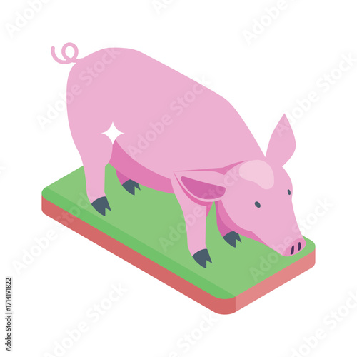 Premium isometric style icon of pink domestic pig