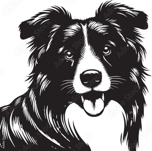Border Collie Dog Vector Illustration, Black and White Silhouette, Pet Animal Design