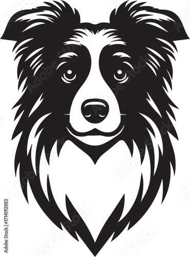 Border Collie Dog Vector Illustration, Black and White Silhouette, Pet Animal Design