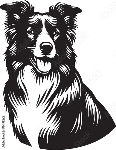 Border Collie Dog Vector Illustration, Black and White Silhouette, Pet Animal Design