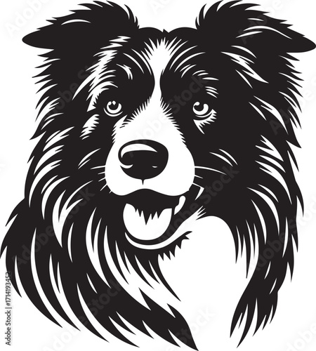 Border Collie Dog Vector Illustration, Black and White Silhouette, Pet Animal Design