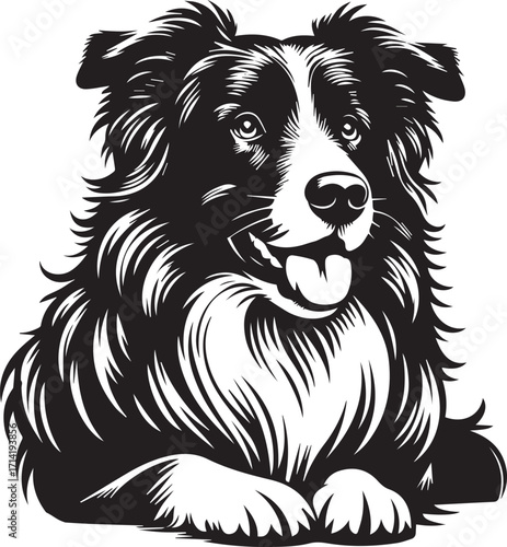 Border Collie Dog Vector Illustration, Black and White Silhouette, Pet Animal Design
