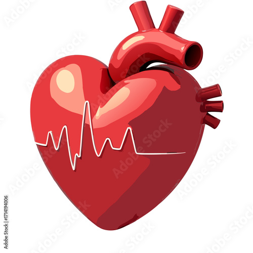 Heart health cardiology medical healthcare anatomy organ blood vessel ekg pulse heartbeat healthy life vital 3d sticker icon on transparent background 