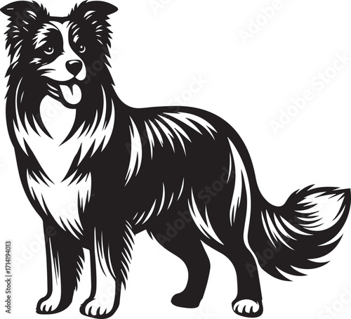 Border Collie Dog Vector Illustration, Black and White Silhouette, Pet Animal Design
