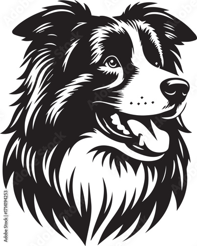Border Collie Dog Vector Illustration, Black and White Silhouette, Pet Animal Design