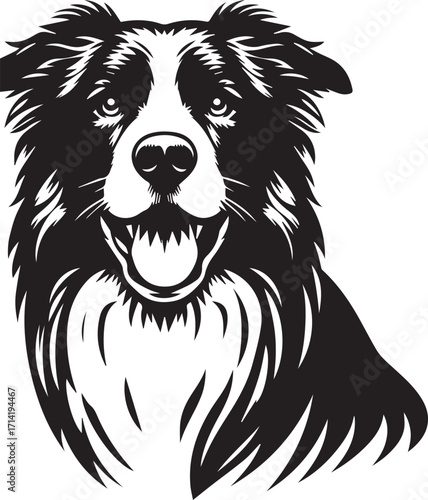 Border Collie Dog Vector Illustration, Black and White Silhouette, Pet Animal Design