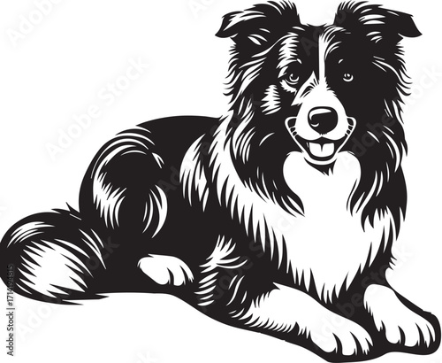 Border Collie Dog Vector Illustration, Black and White Silhouette, Pet Animal Design