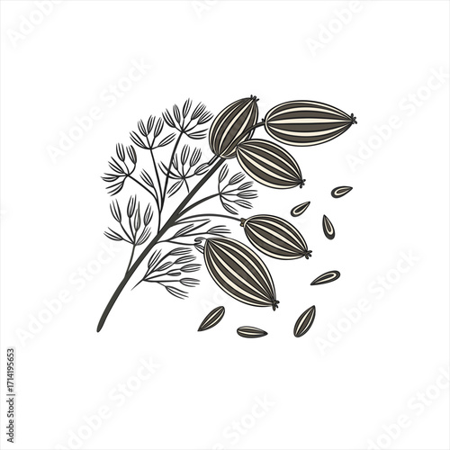 Stylized illustration of dill seeds and feathery dill fronds