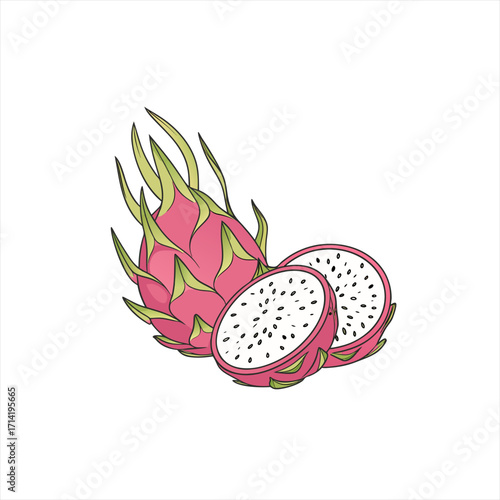 Illustration of a whole and sliced pink dragon fruit on a white background