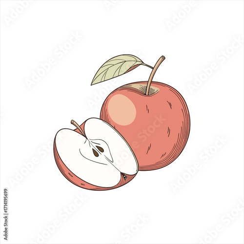 Whole and halved red apple with leaf illustration