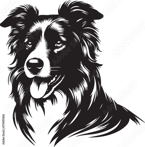 Border Collie Dog Vector Illustration, Black and White Silhouette, Pet Animal Design