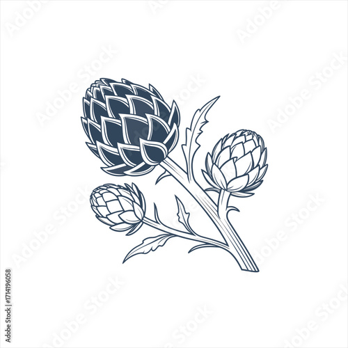 Stylized illustration of artichoke plants with buds and leaves