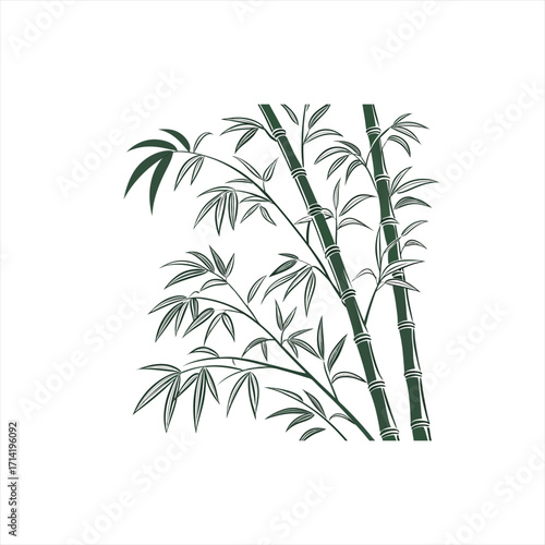 Stylized dark green bamboo stalks with leaves on white background