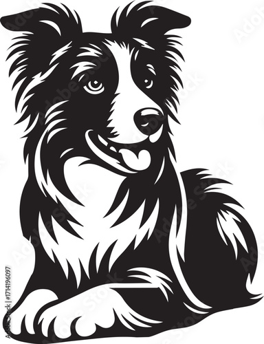 Border Collie Dog Vector Illustration, Black and White Silhouette, Pet Animal Design