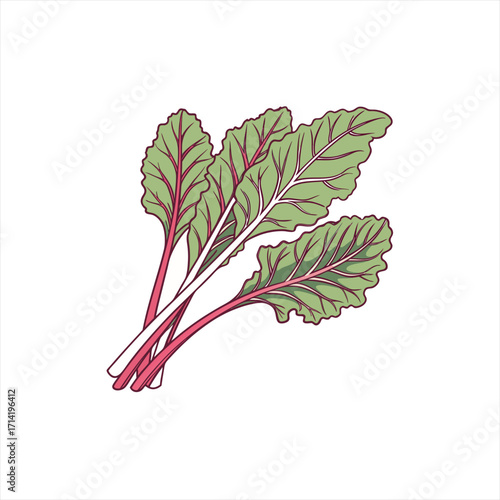 Illustration of fresh beet greens with vibrant red stems