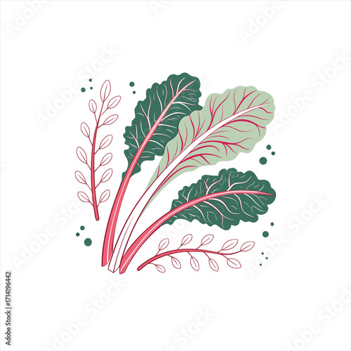 Illustration of swiss chard leaves and delicate branches