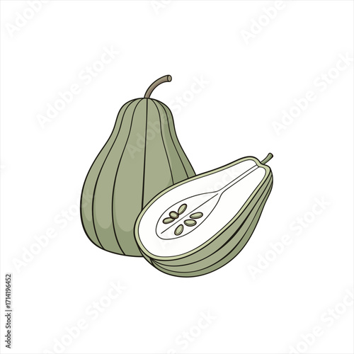 Green pear fruit whole and halved with seeds illustration