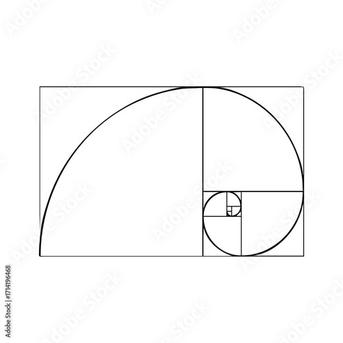 fibonacci spiral vector