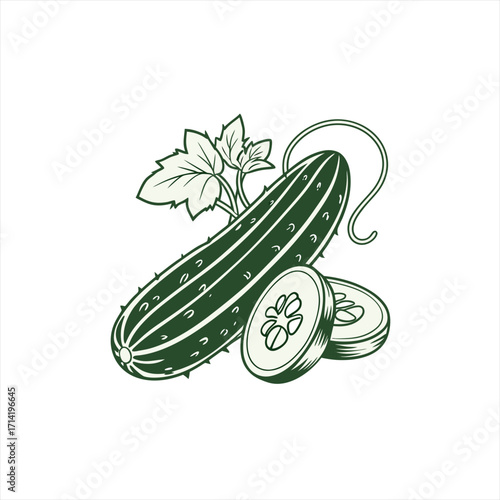 Green cucumber with leaves and slices illustration