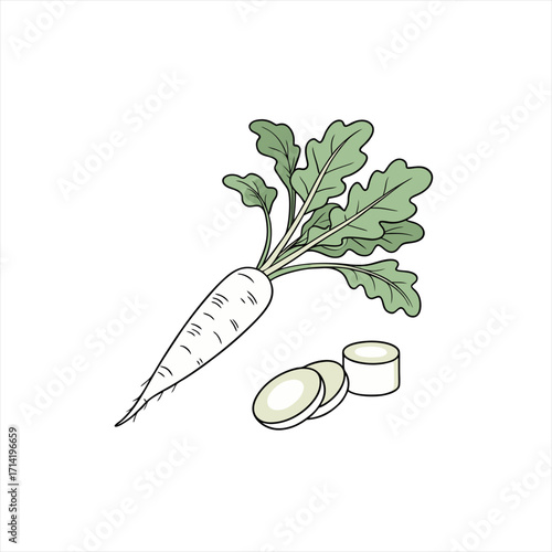 Daikon radish with sliced pieces and green leaves