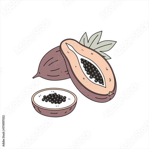 Illustration of a whole papaya cut in half with seeds and a slice of papaya with seeds