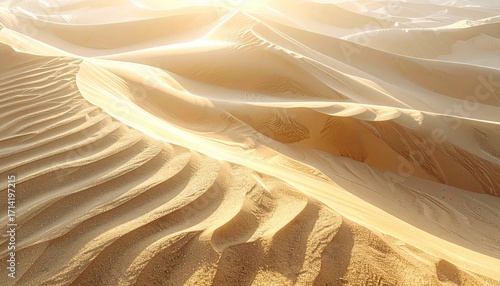 Fototapeta Naklejka Na Ścianę i Meble -  Single Footprint in Soft Sunlight on Rippled Sand Dunes