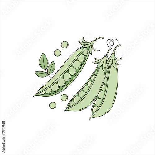 Fresh green peas in pods with leaves and scattered peas