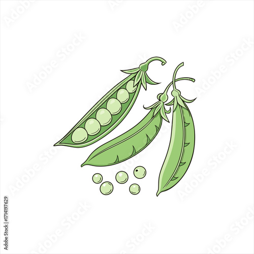 Fresh green peas in pods and scattered peas illustration
