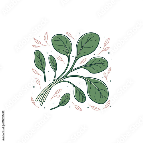Fresh green spinach leaves with delicate pink branches and dots