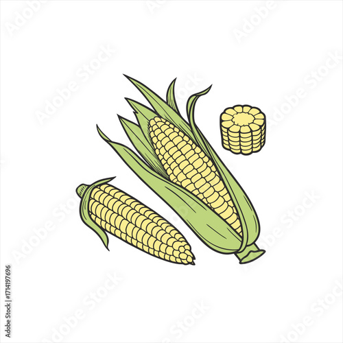 Fresh corn on the cob and slices with green husks