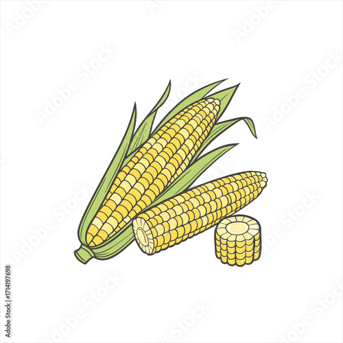 Fresh corn on the cob with leaves and slices illustration