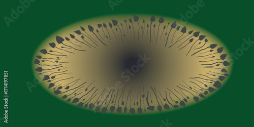 Magical Mushroom Circle Background