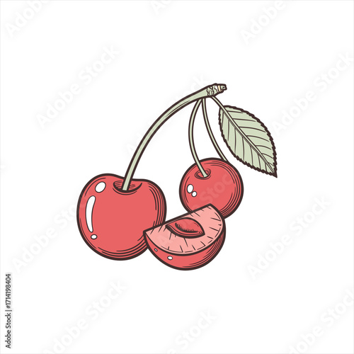 Hand drawn illustration of ripe cherries with a leaf and a sliced cherry showing the pit
