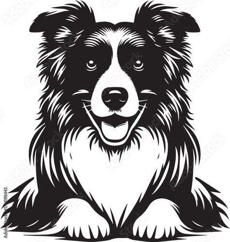 Border Collie Dog Vector Illustration, Black and White Silhouette, Pet Animal Design