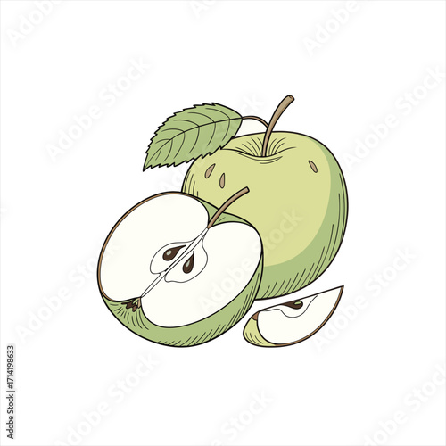 Illustration of a whole green apple with a leaf a halved apple and a slice