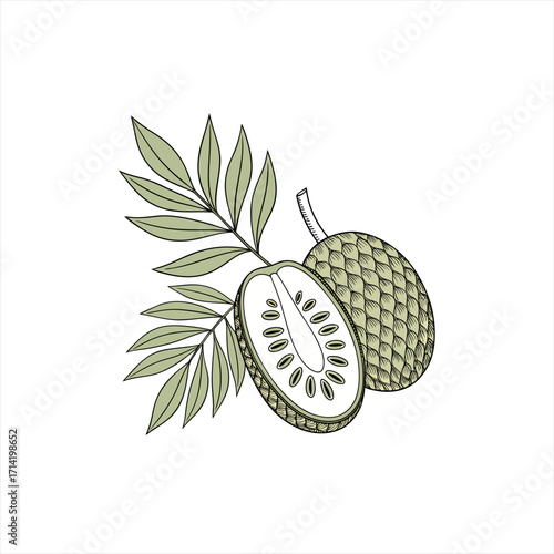 Illustration of a soursop fruit cut in half with leaves