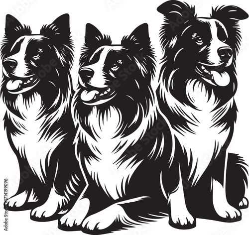 Border Collie Dog Vector Illustration, Black and White Silhouette, Pet Animal Design