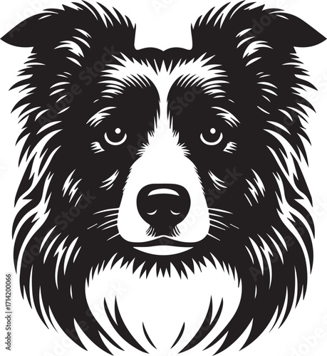 Border Collie Dog Vector Illustration, Black and White Silhouette, Pet Animal Design