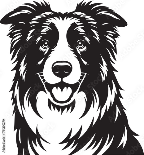 Border Collie Dog Vector Illustration, Black and White Silhouette, Pet Animal Design