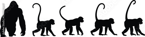 Monkey and gorilla silhouette collection, wild primate illustration, jungle animal vector, monkey tail design, ape walking graphic, wildlife art